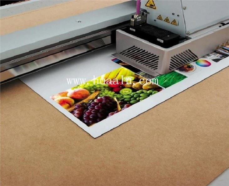 Flat Printing Sign-paneel